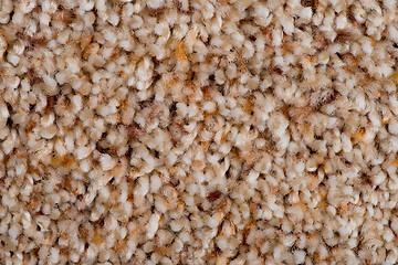 Image showing Brown carpet