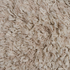 Image showing Beige carpet