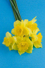 Image showing Jonquil flowers