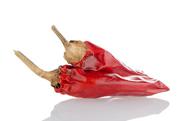 Image showing Two red hot chili pepper