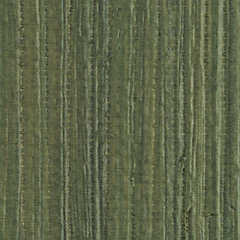 Image showing Green vinyl texture