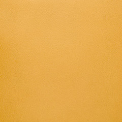 Image showing Yellow leather