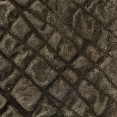 Image showing Green leather texture closeup