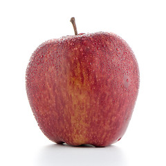 Image showing Red apple