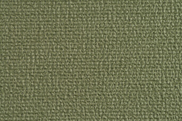 Image showing Green vinyl texture