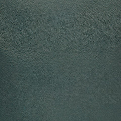 Image showing Green leather