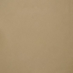 Image showing Beige leather