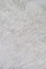 Image showing White fur