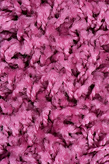 Image showing Purple carpet