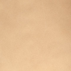 Image showing Beige leather