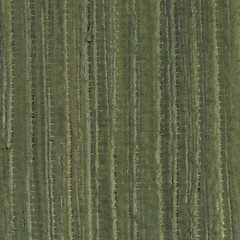 Image showing Green vinyl texture