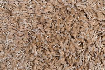 Image showing Brown carpet