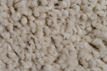 Image showing Beige carpet