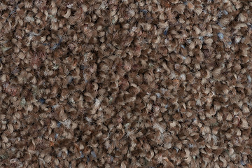 Image showing Brown carpet