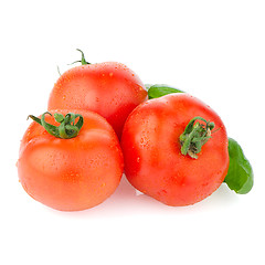 Image showing Red ripe tomato