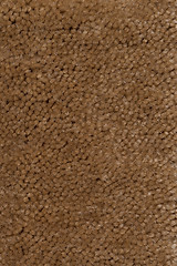 Image showing Brown carpet