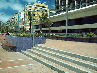 Image showing editorial cactus garden on pedestrian promenade Playa de Cantera