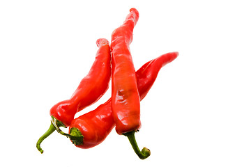 Image showing ripe red peppers