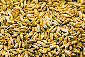 Image showing seeds of wheat