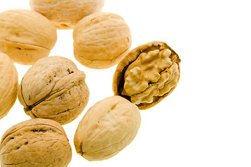 Image showing Yellow walnuts 