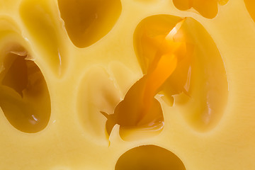 Image showing cheese close up