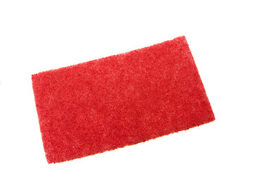 Image showing Red sponge  