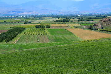 Image showing Fields and grapes in a mountain valley