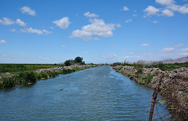 Image showing summer river landscape