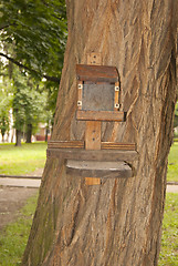 Image showing wooden bird feeder on the tree trunk