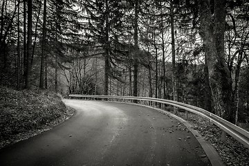 Image showing Road in autumn forest landscape