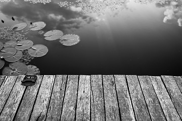 Image showing Peaceful place at the pond