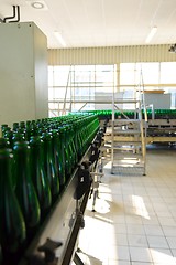 Image showing Many bottles on conveyor belt