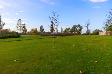 Image showing Green lawn at the park