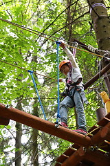 Image showing adventure rope park