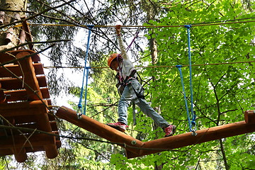 Image showing adventure rope park