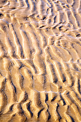 Image showing dune morocco   wet sand beach near atlantic ocean