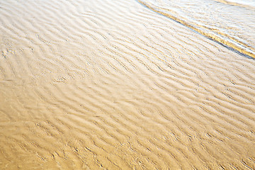 Image showing dune morocco in africa  coastline wet   near   ocean