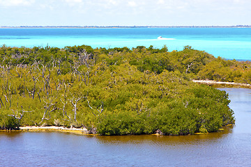 Image showing isla contoy   sand   in mexico froath    wave