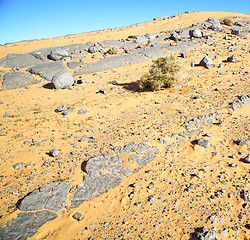 Image showing  old fossil in  the desert of morocco sahara and rock  stone sky