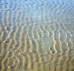 Image showing dune morocco in africa brown coastline wet sand beach near atlan