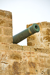 Image showing in   green bronze cannon and the blue sky