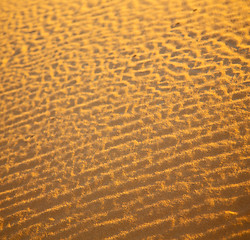 Image showing africa the brown sand dune in   sahara morocco desert line