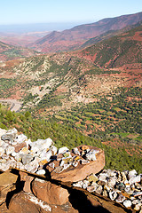 Image showing the    dades valley in africa ground tree  and nobody