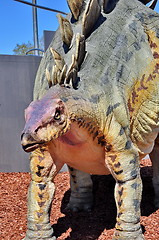 Image showing Realistic model of dinosaur 