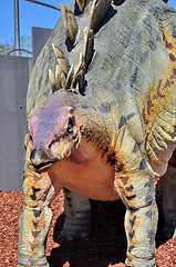 Image showing Realistic model of dinosaur 