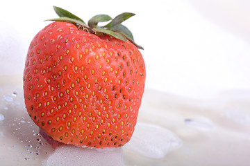 Image showing Close up strawberry in a cold ice