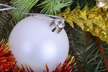 Image showing Christmas baubles on christmas tree. new year invitation card