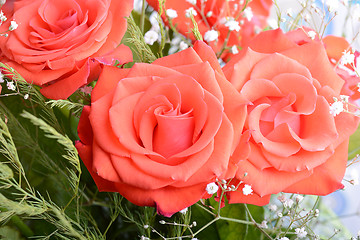 Image showing beautiful red roses