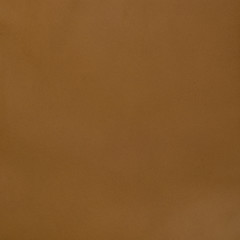 Image showing Brown leather