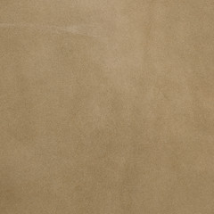 Image showing Beige leather